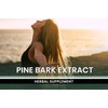 Pure Original Ingredients Pine Bark Extract (730 Capsules) No Magnesium