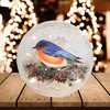 Gift Essentials Bluebird Crackle Glass Globe - LED Christmas Light