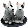 B2SEE LTD Bull Terrier Salt and Pepper Shaker Set Ceramic Dog Bull Terrier Gift 3 Piece Set