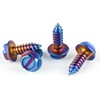 LivTee Burnt Titanium License Plate Screws, 4-Piece Premium Stainless Steel