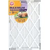 Arm & Hammer Max Allergen & Odor Reduction 14x24x1 Air