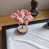 ZEN&TAO Japanese Miniature Zen Garden Black Tray with Buddah Statue,