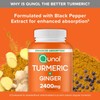 Qunol Turmeric Curcumin with Black Pepper & Ginger, 2400mg Turmeric