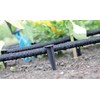 GARDENIX® Pack of 50 AquaPEG Ground Securing Pegs for Drip