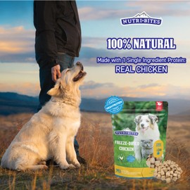 Nutri Bites Freeze Dried Chicken Dog & Cat Treats | Healthy Pet Training Treats or Food Topper | All Natural, 1 Single Animal Protein, High Protein | Premium Bulk Value Pack, 15 oz