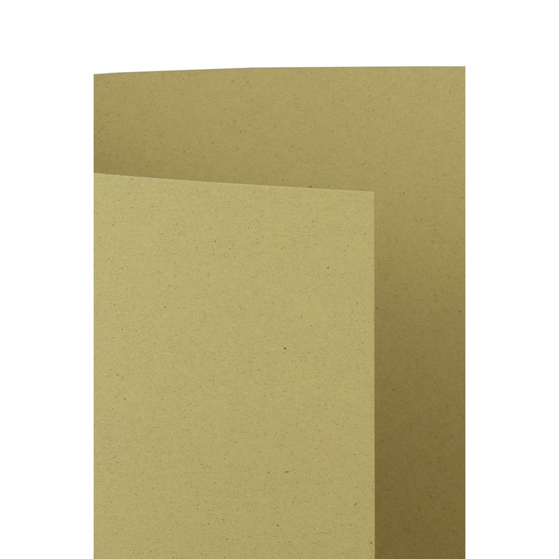 FAVINI CARTOTECNICA A69 N534 °C. Nature 50 FF 120 Olive