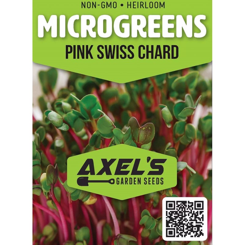 Axel's Garden Seeds Pink Swiss Chard MICROGREEN Seeds | Heirloom