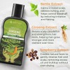 ABERA Champú Anticaspa De Alto Rendimiento Fórmula Herbal Con Extracto