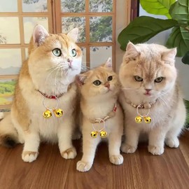 HEJINYUN 3 Pack Extra Loud Cat Bells for Collars | Anti-Loss Kitten Tracker & Bird Saver (Gold)
