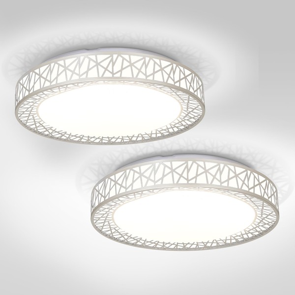 ASD 18 Inch LED Flush Mount Ceiling Light - Modern