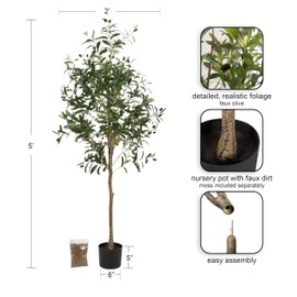 Kate and Laurel Oliveira Modern Faux Olive Tree, 5 FT, Potted Artificial Olive Plant Tree Indoor with Realistic Foliage and Additional Decorative Moss, Fake Plant for Living Room Decor
