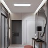 Ganeed 27.6 Inch LED Ceiling Light,Full Spectrum Linear Ceiling Lamps,6500K