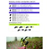 Marolex, Set of 7 Nozzles, Tip, Atomiser, Sprinkler