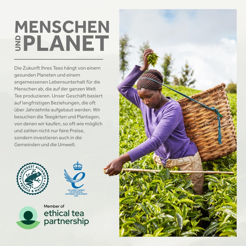 Taylors of Harrogate One Cup Yorkshire Tea 600 per Pack