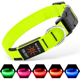 Illumifun Light Up Dog Collar, USB Rechargeable LED Dog Collar Glow in The Dark，Adjustable Pet Safety Lights for Night Walking (Green, Medium)