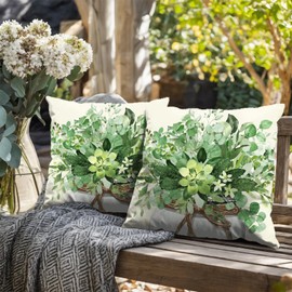 Eucalyptus Leaves Pillow Covers 18x18 Set of 2 Spring Sage Green Leaf Throw Pillow Covers Summer Plants Floral Mason Jar Decorative Pillow Cases Farmhouse Outdoor Cushion Case for Home Couch Sofa