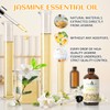 EVOKE OCCU Jasmine Essential Oil for Cleaning, Air Freshening, Relaxing,