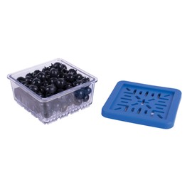 HIC Kitchen BerryFresh Half Pint Produce Box, Blue
