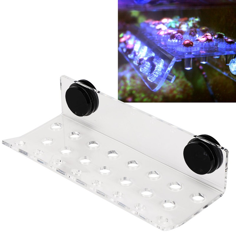Aquarium Marine Coral Racks Bracket Holder Fish Tank Button Frame