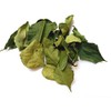 Lime Leaves (Kiffir) Thai Dried, Free to UK (5g)