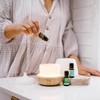 ECO. Modern Essentials Fight the Flu Essential Oil Trio, 3