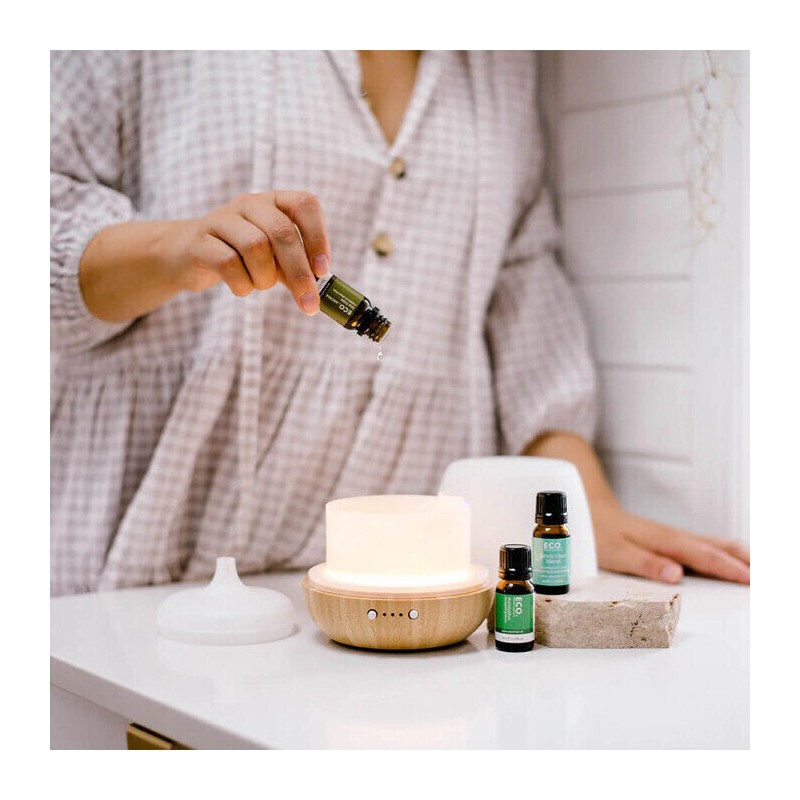 ECO. Modern Essentials Fight the Flu Essential Oil Trio, 3