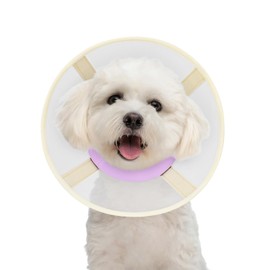 Soft Dog Cone Collar to Stop Licking-Adjustable Comfortable Mesh Recovery Collars After Surgery for Small Miniature Dogs, Alternative to Plastic Elizabethan Collar for Neuter Incision Care (Purple,M)
