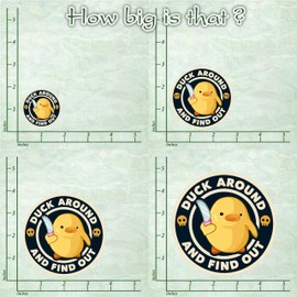 314PI Duck Around and Find Out Stickers, Water Assistant Funny Meme Stickers, Sarcastic Decal, Kindle Stickers for Laptop Phone Cases Water Bottles, Gifts for Boys Girls, Cute Duck Stickers (Size 5")