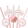 Big Dot of Happiness Pink Rose Gold Birthday - Paper