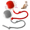 XdealCozyxc 2 Pcs Electric Cat Rolling Ball Interactive Dog Toy,