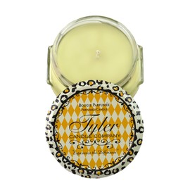 Tyler Candle Co Limelight 3oz Candle