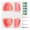 TeamSky Dental Suture Training Kit, Dental Suture Practice Kit for