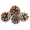 EDZARD Decorative Pine Cones, White, Size 50-90 mm, 600 ml