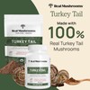 Real Mushrooms Real Mushrooms Turkey Tail Capsules - Organic Extract