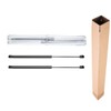 A-Premium Tailgate Rear Hatch Lift Supports Shock Struts Compatible with
