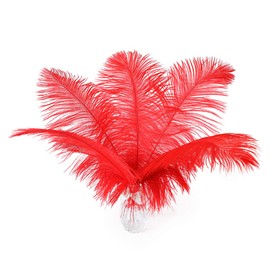24pcs Natural Bright Red Ostrich Feathers 10-12inch (25-30cm) for Wedding Party Centerpieces，Flower Arrangement and Home Decoration.