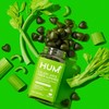 HUM HUM Celery Juice Fiber Gummies The First Prebiotic Celery