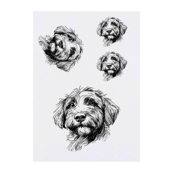 4 x 'Irish Doodle Puppy' Temporary Tattoos - Water Resistant,