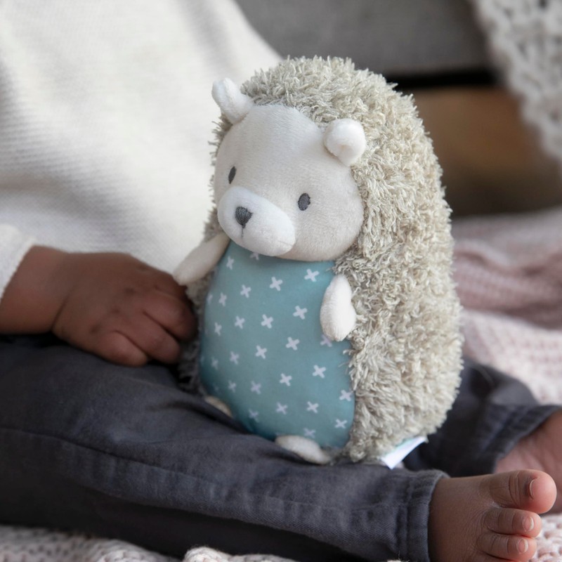 Ingenuity Premium Soft Plush Squeak Toy - Farrow The Hedgehog,