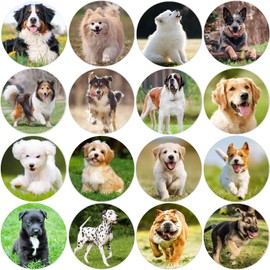 Hohamn 600Pcs Dog Stickers for Kids Teachers 1.5 Inch 16 Styles Dog Stickers for Kids Birthday Party School Reward Giveaways