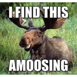 Funny moose refrigerator magnet 3 1/2 x 3 1/2"