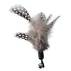 EcoCity Cat Toys - No Chemical Dyeing Cat Feather Toys