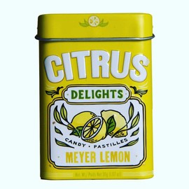 Big Sky Citrus Delights - Candy Pastilles - Citrus Candy Bulk Pack of 12 - Helps Eliminate Bad Breath and Dry Mouth - 1.07 Oz (Meyer Lemon)
