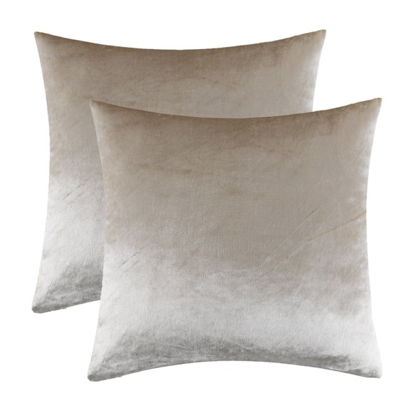 GIGIZAZA Decorative Throw Pillow Covers 20 x 20,Set of 2