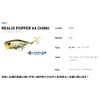 Duo Rare Popper 64 Chino CYA3554 Hyperchart PM