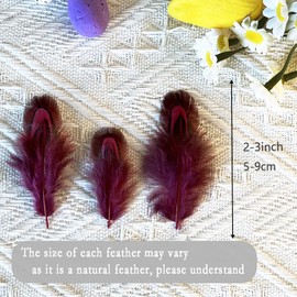100pcs Dyed Pheasant Feathers Craft Natural Plumage for Jewelry Millinery DIY Sewing Crafts Costumes Wedding Party Decoration 2.3-3.9 Inch (Burgundy)