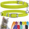 CollarDirect Leather Cat Collar with Safety Clasp, 23-28 cm, Lime