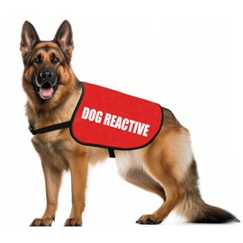Reactive Dog Jacket Vest Dog Reactive Service Dog Slogan Warning Vest (Dog Reactive M)