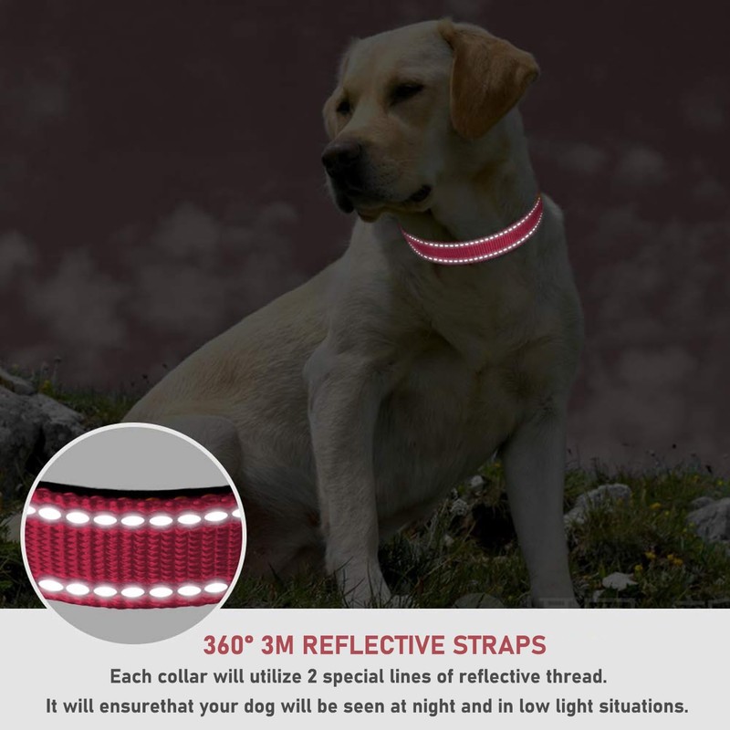 Reflective Dog Collar with Buckle Adjustable Safety Nylon Collars for