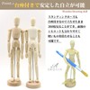 AROXIA Drawing Doll Pose Doll Wooden 11.8 inches (30 cm)